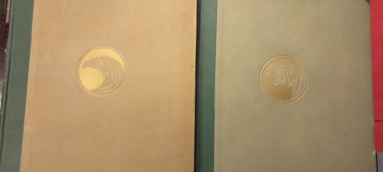 Nel regno degli animali. | Immagine Gallery 5