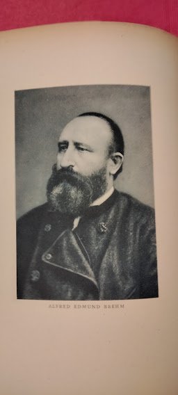 Nel regno degli animali. | Immagine Gallery 7