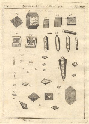Oggetti veduti con il microscopio, tav. VIII. Tratta dal Dizionario …