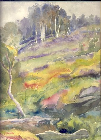 Paesaggio di Coazze.