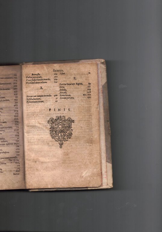 Rerum memorabilium . Libri duo. Quorum prior deperditarum: posterior noviter …