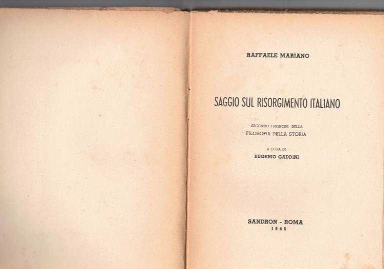 Saggio sul risorgimento italiano. Secondo i principi della filosofia della …