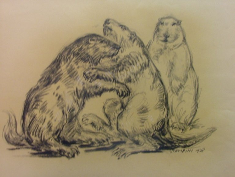 Studio per xilo " Le marmotte del Cervino".