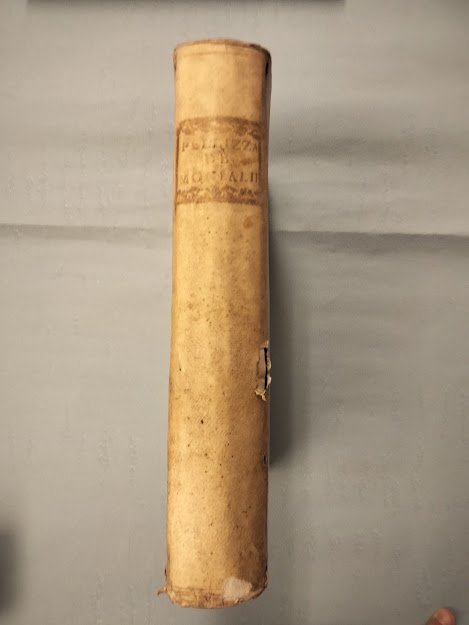 Tractatio de monialibus in qua referuntur omnes fere quaestiones. De …