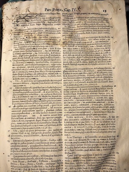 Tractatus de Fructibus, in quo selectiora jura ad rem fructariam … | Immagine Gallery 3