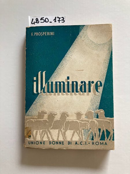 Illuminare - Guida per l'assistente ecclesiastico dei gruppi donne di …