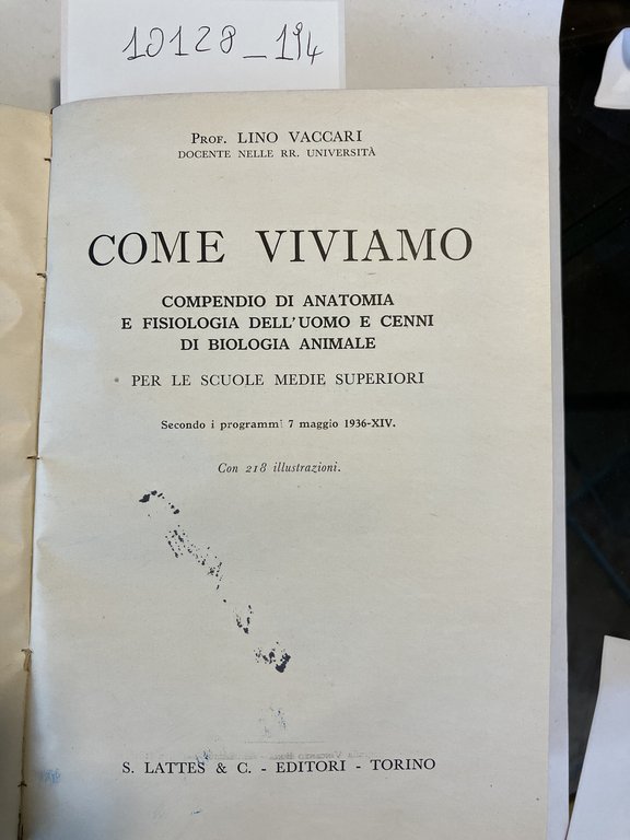 Come vivono le piante