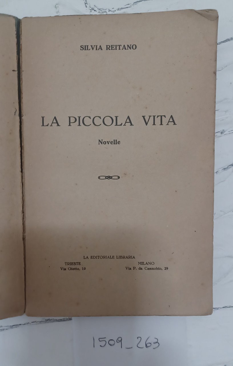 La piccola vita | Immagine principale