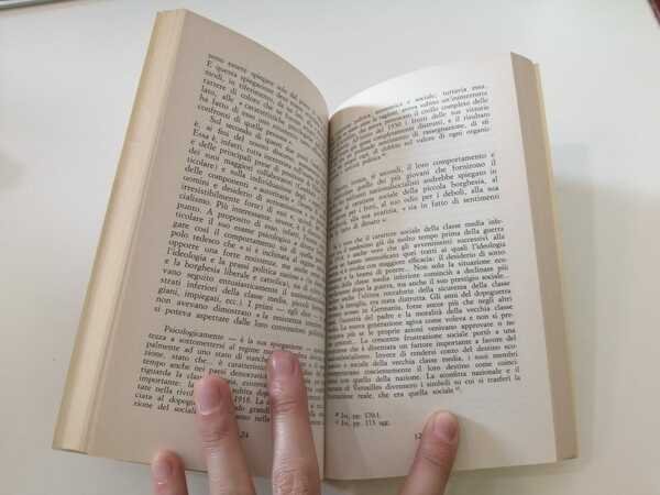 Le interpretazioni del fascismo.