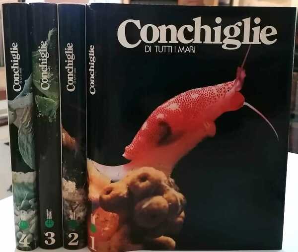 Conchiglie di tutti i mari.