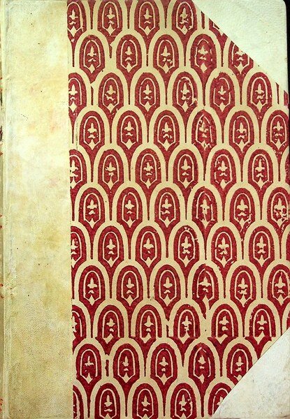 Studi trentini di scienze naturali: ANNO XII: 1931.