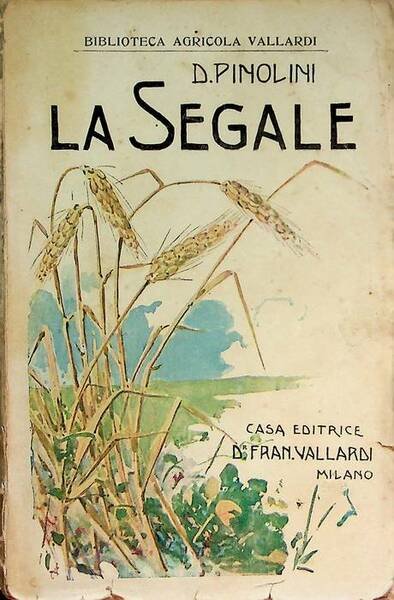 La segale e la sua coltivazione.
