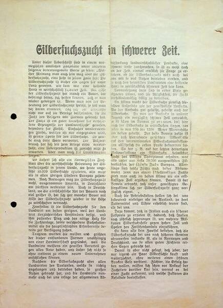 Silberfuschzucht in schwerer Zeit.