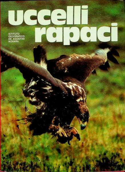 Uccelli rapaci.
