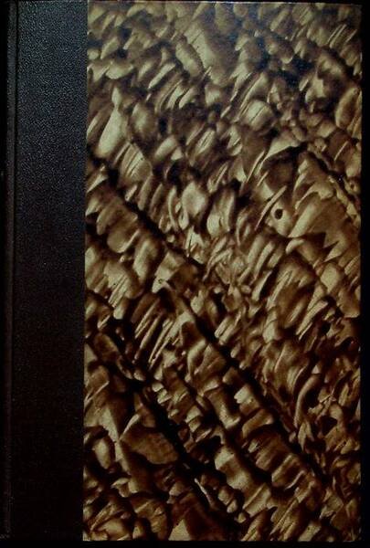 Alcuni capitoli della biografia di Dante: l'anno della nascita, la …