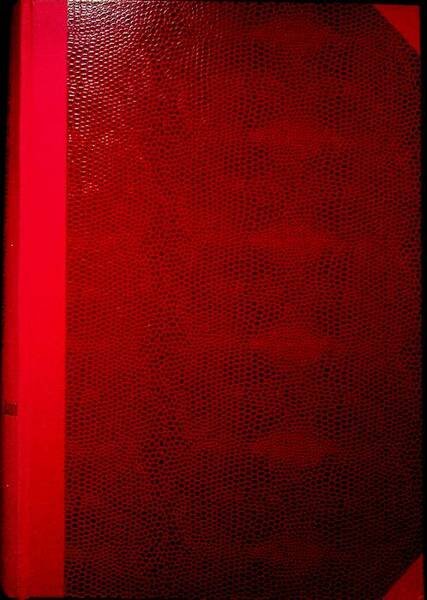 Mitteilungen der Anthropologischen Gesellschaft in Wien: XXXXIII. Band: III, IV, …