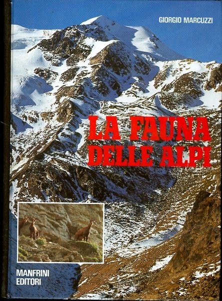 La fauna delle Alpi.