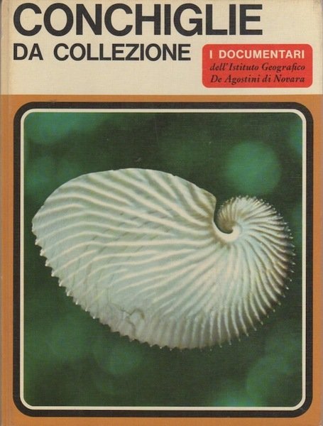 Conchiglie da collezione.