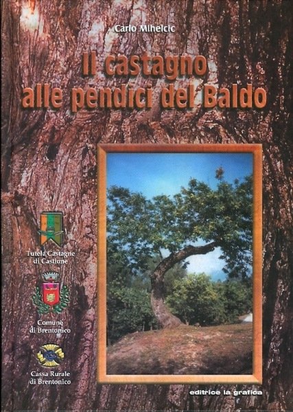 Il castagno alle pendici del Baldo. | Immagine Gallery 1