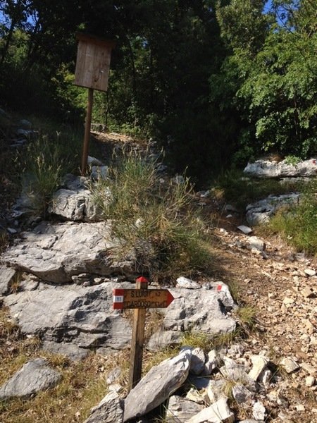 Relazione stagione sportiva. | Immagine Gallery 1