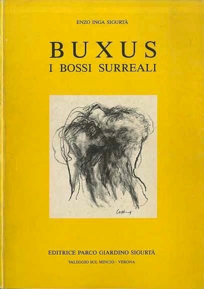 Buxus: i bossi surreali.