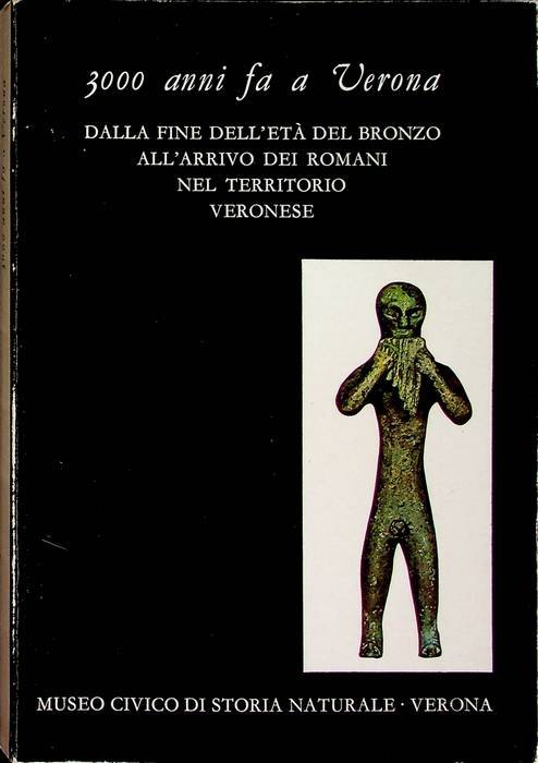 3000 anni fa a Verona: dalla fine dell'etÃ del bronzo …