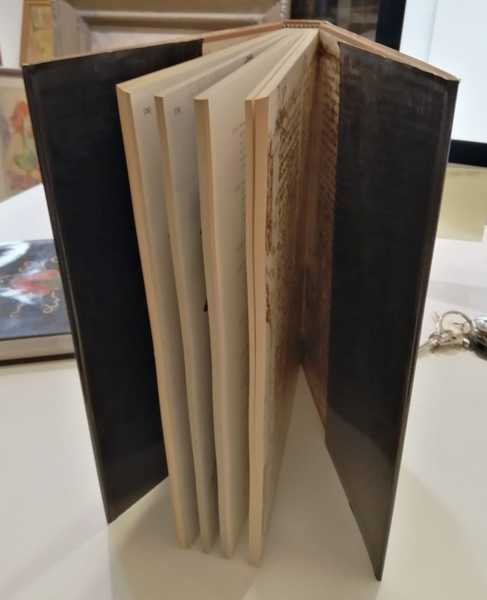 L'erbario di Trento: il manoscritto n. 1591 del Museo provinciale …