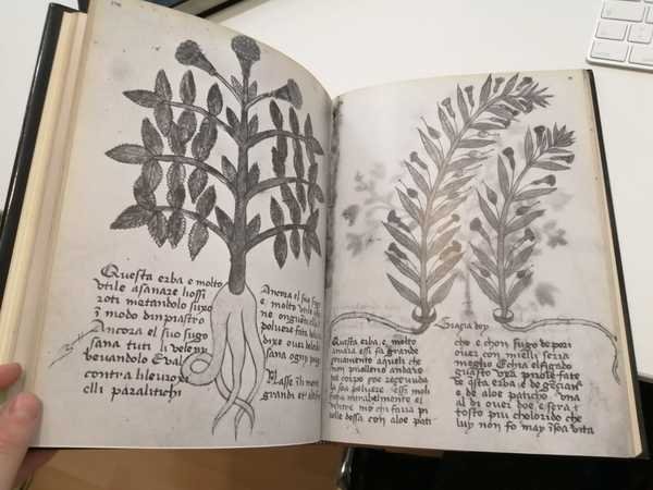 L'erbario di Trento: il manoscritto n. 1591 del Museo provinciale …