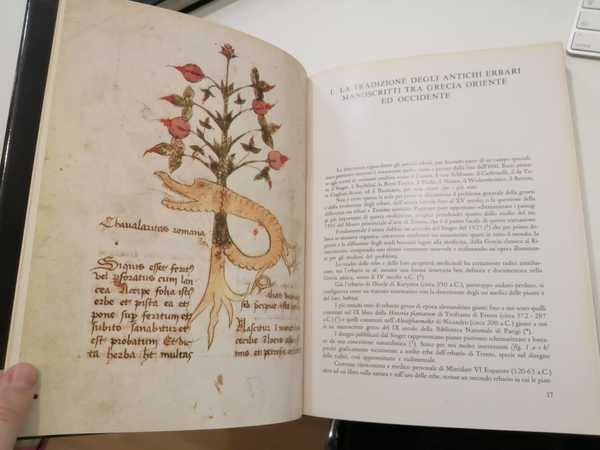 L'erbario di Trento: il manoscritto n. 1591 del Museo provinciale …
