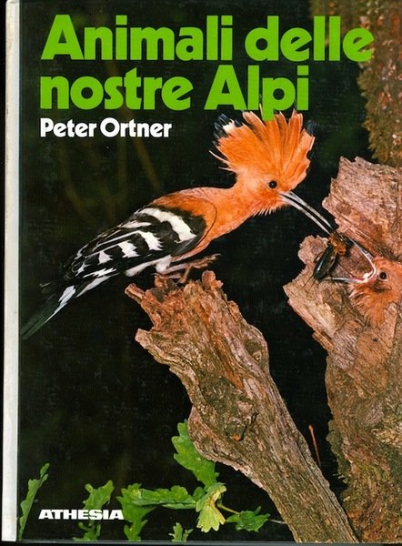 Animali delle nostre Alpi: con particolare riferimento al Sudtirolo.