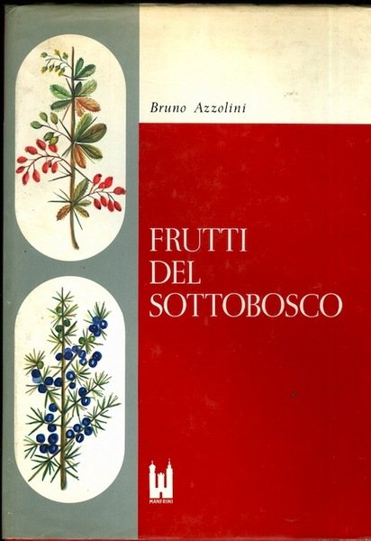 Frutti del sottobosco: morfologia di piante fruttifere.