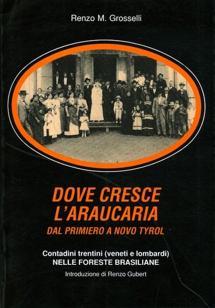 Dove cresce l'araucaria: dal Primerio al Novo Tyrol: contadini trentini …