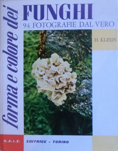 Forma e colore dei funghi. | Immagine Gallery 1
