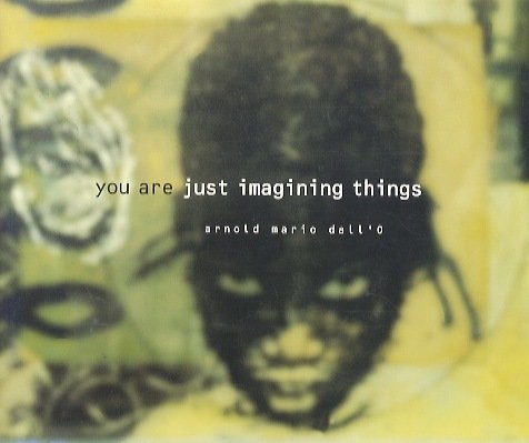 Arnold Mario Dall'O: You are just imagining things.