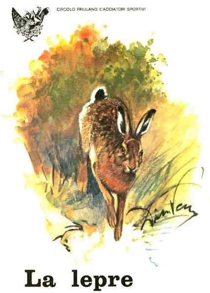 La lepre.