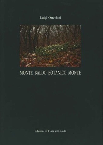 Monte Baldo: Botanico Monte.