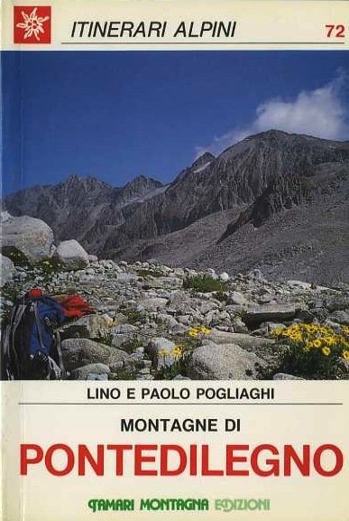 Montagne di Pontedilegno.