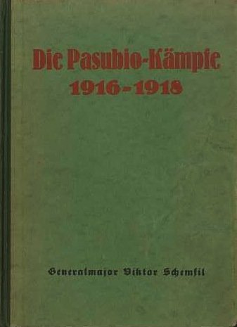 Die Pasubio-KÃ¤mpfe: 1916-1918: genaue Geschichte des Ringens um einen der …