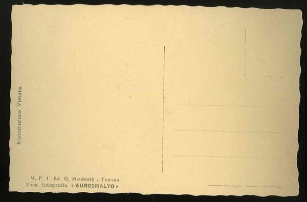 Dettaglio del Lago di Tovel m. 1182 nel Gruppo di … | Immagine Gallery 1