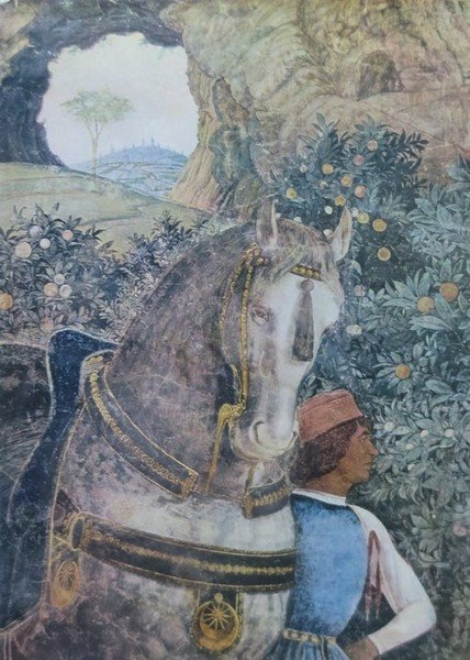 Andrea Mantegna: catalogo della mostra a cura di Giovanni Paccagnini …