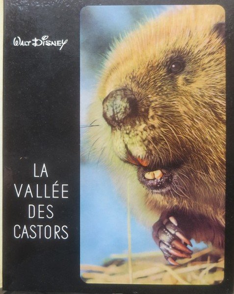 La vallÃ©e des castors.