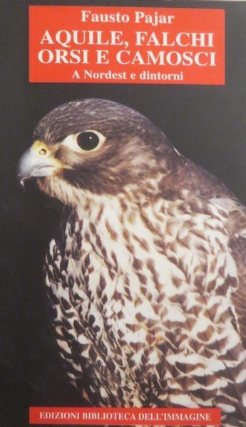 Aquile, falchi orsi e camosci: a Nordest e dintorni.