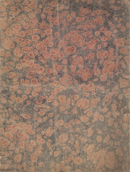 Statuto della cittÃ di Trento dei 29 marzo 1851: colle …