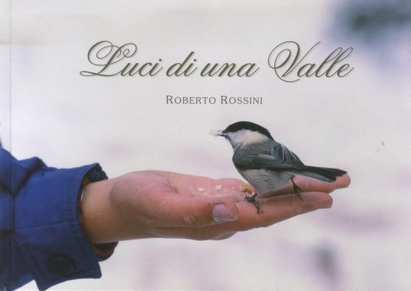 Val di Sole: luci di una valle.