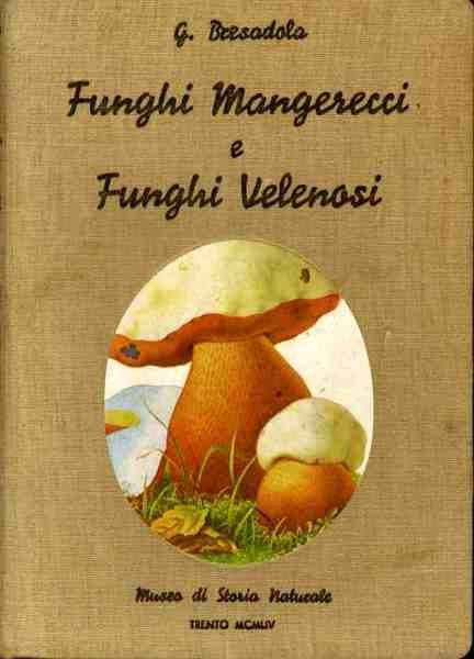 Funghi mangerecci e funghi velenosi: guida pratica per il loro …