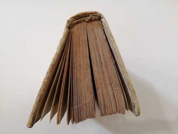 L'inferno prigione, e rogo de' dannati.