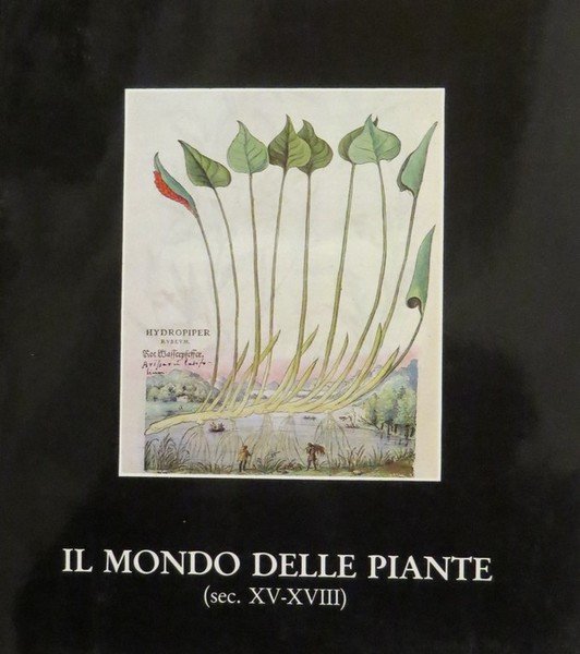 Il mondo delle piante (sec. XVI-XVIII): mostra di antiche edizioni …