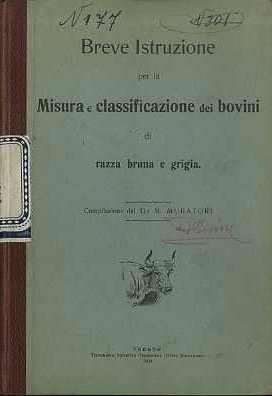 Breve istruzione per la misura e classificazione dei bovini di …