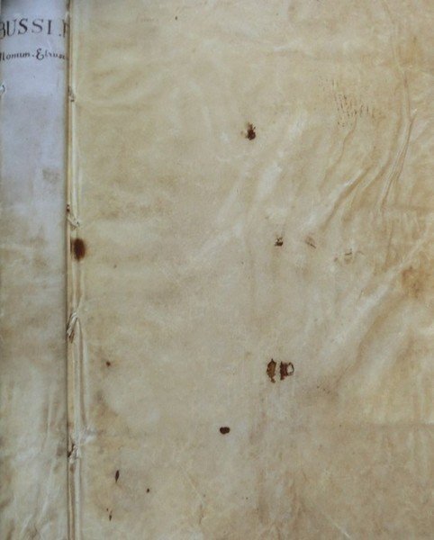 Veterum etruscorum monumenta in Viterbiensis territorio reperta Aeneis tabulis edita, … | Immagine Gallery 1