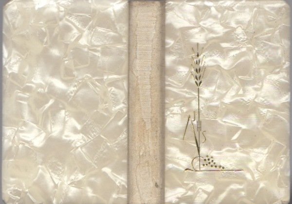 In preghiera: manualino di preghiere.